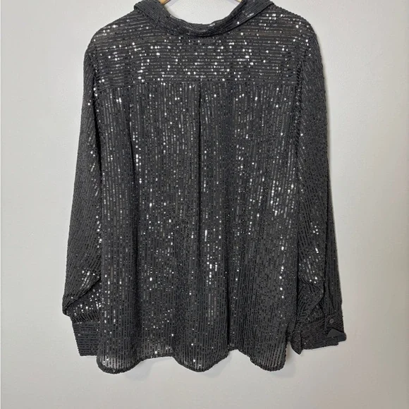 Anthropologie Remie Sequin Button Front Shirt Blouse  Silver Top size 3X NWT - Picture 3 of 4